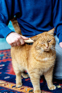 Midsection of man holding cat