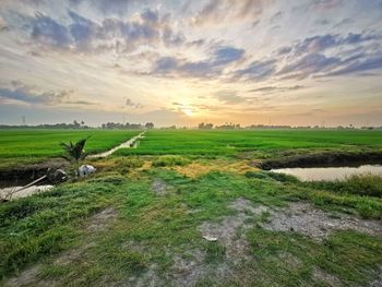 Scenic view of field against sky during sunset