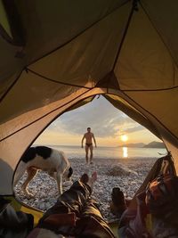 View from the tent on a man and a dog by the sea