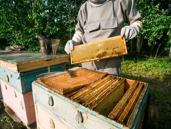 Midsection of man working at farm