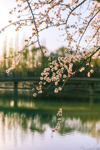 Scenic view of lake