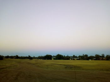 Scenic view of agricultural field against clear sky