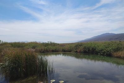 Scenic view of lake against sky