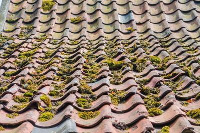 Full frame shot of old roof and building