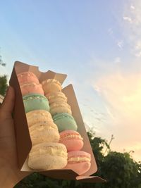 Cropped hand of person holding container with macaroons against sky