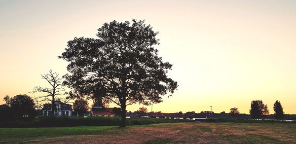 Silhouette tree on field against clear sky during sunset