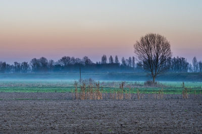 Scenic view of field against sky during sunset