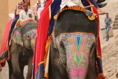 Low angle view of elephant on multi colored outdoors