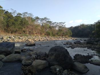 Rocks by river in forest against sky