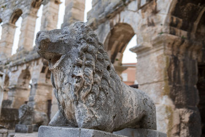 Close-up of old ruins