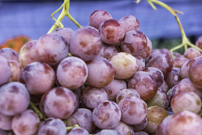 Close-up of fruits for sale at market stall