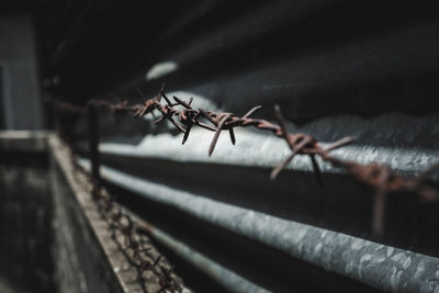 Rusty barbed wire at night