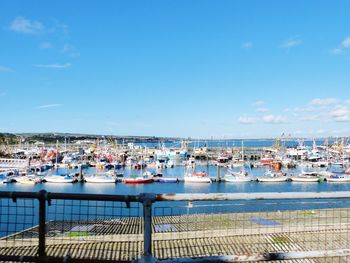 Sailboats moored in harbor