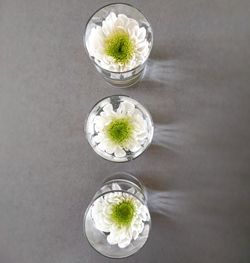 Close-up of food on table