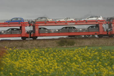 Train on field against sky