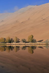 1203 sumu jaran lake's western megadune reflected on mirroring water. badain jaran desert-china.