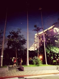 View of illuminated park at night