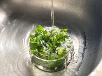 Close-up of drink in glass