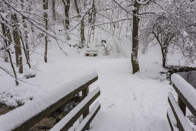 Snow covered bare trees on field during winter