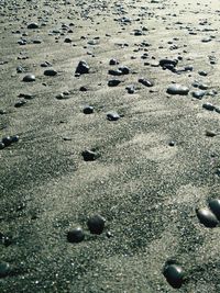 Full frame shot of wet sand