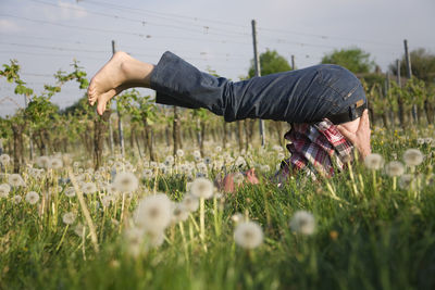 Man exercising on field