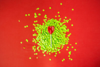 High angle view of multi colored roses against red background