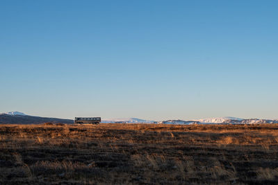 Scenic view of field against clear blue sky