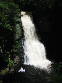 Waterfall in forest