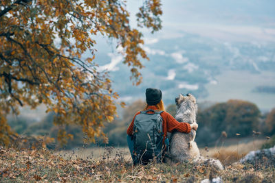 Rear view of dog standing in park during autumn