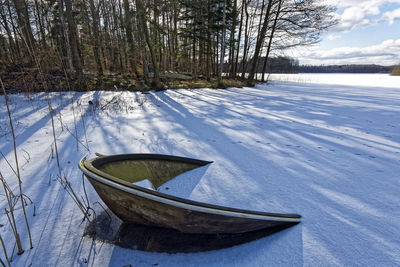 Scenic view of tree against sky during winter