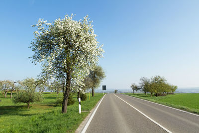 Road by trees on field against sky