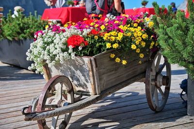 Rustic wooden wheelbarrow filled with colorful flowers