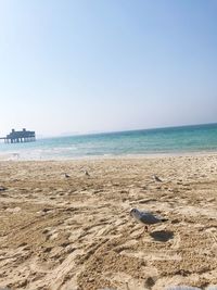 Scenic view of beach against clear sky
