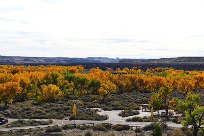 Scenic view of field against sky during autumn