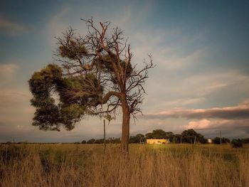 Scenic view of field against cloudy sky