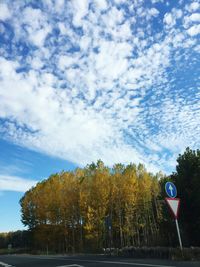 Trees on road against cloudy sky
