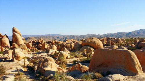 Panoramic view of landscape against clear sky