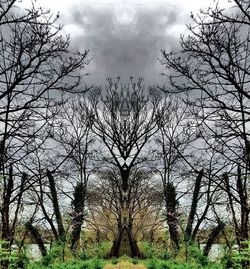 Bare trees against cloudy sky