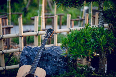 Person holding guitar