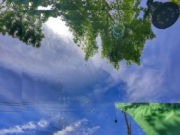 Low angle view of trees against sky