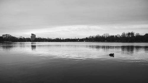 View of ducks swimming in lake