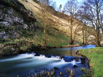 Scenic view of river stream amidst trees in forest