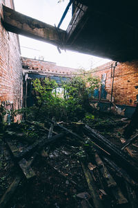 Abandoned railroad tracks
