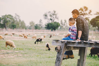 Man and boy with sheep grazing on grass against sky