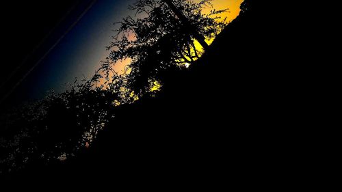 Low angle view of silhouette tree against sky at night