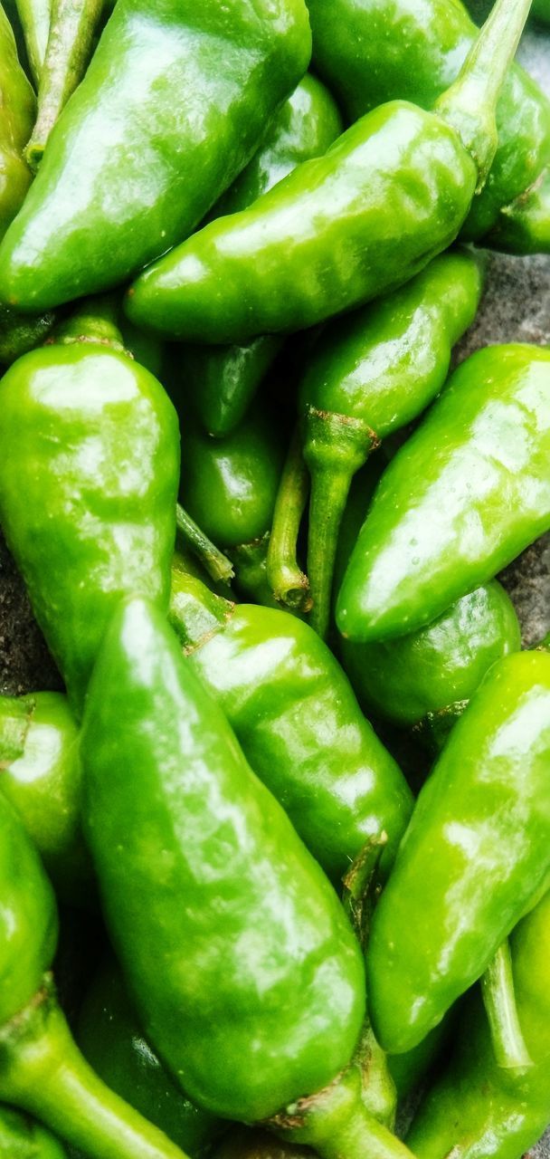 FULL FRAME SHOT OF GREEN CHILI PEPPERS AT MARKET