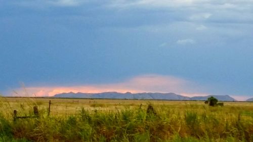 Scenic view of landscape against sky