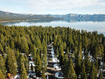 Panoramic view of lake and trees in forest against sky