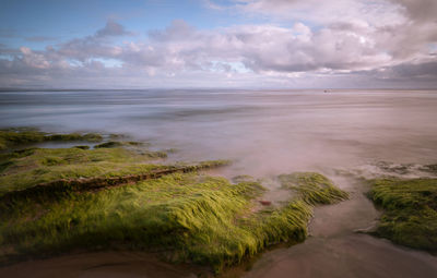 Mossy rock formations at seashore against cloudy sky