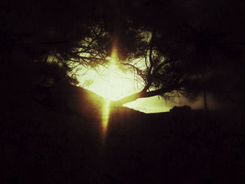 Sun shining through trees